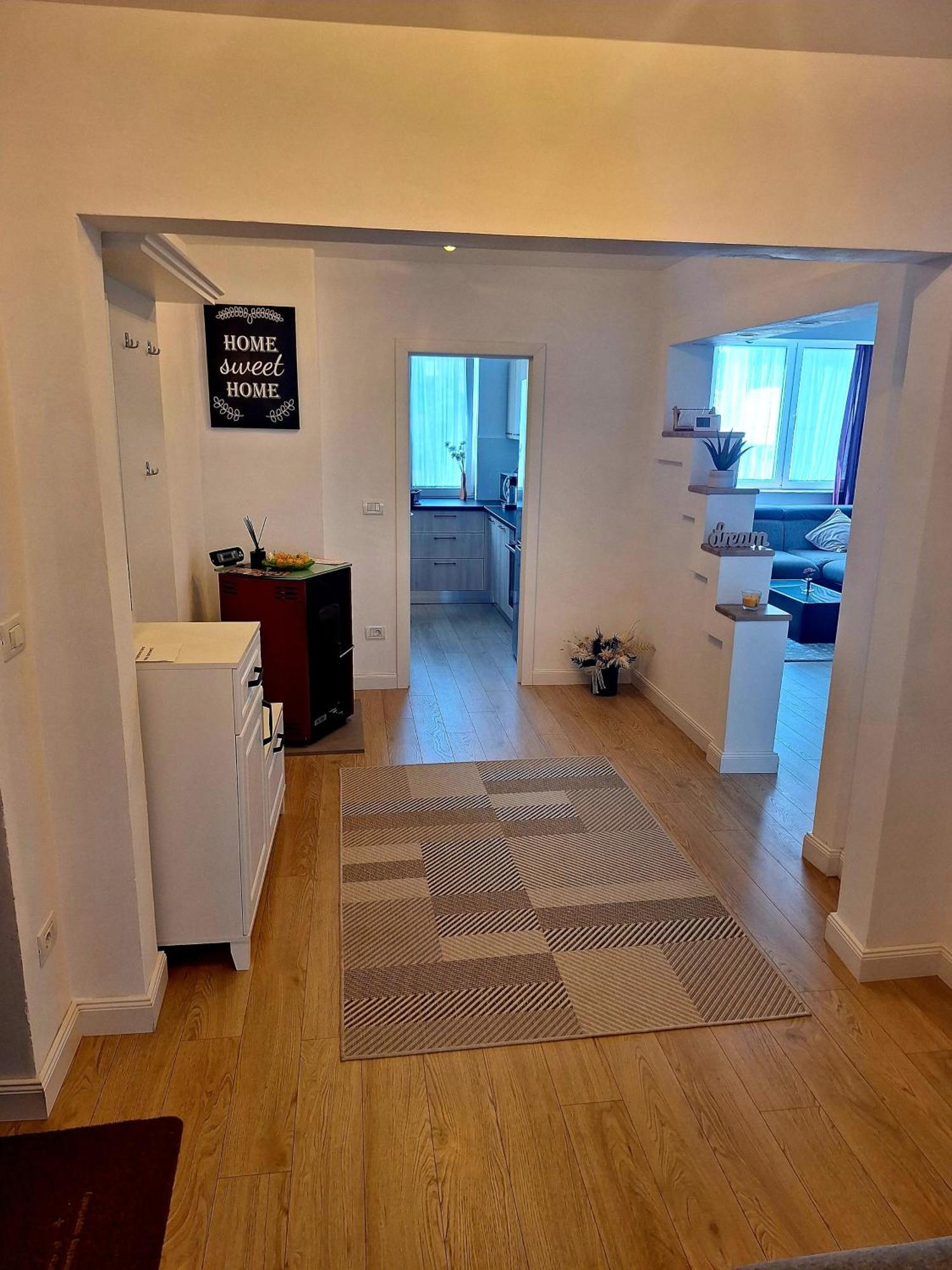 Apartament Central Vişeu de Sus エクステリア 写真