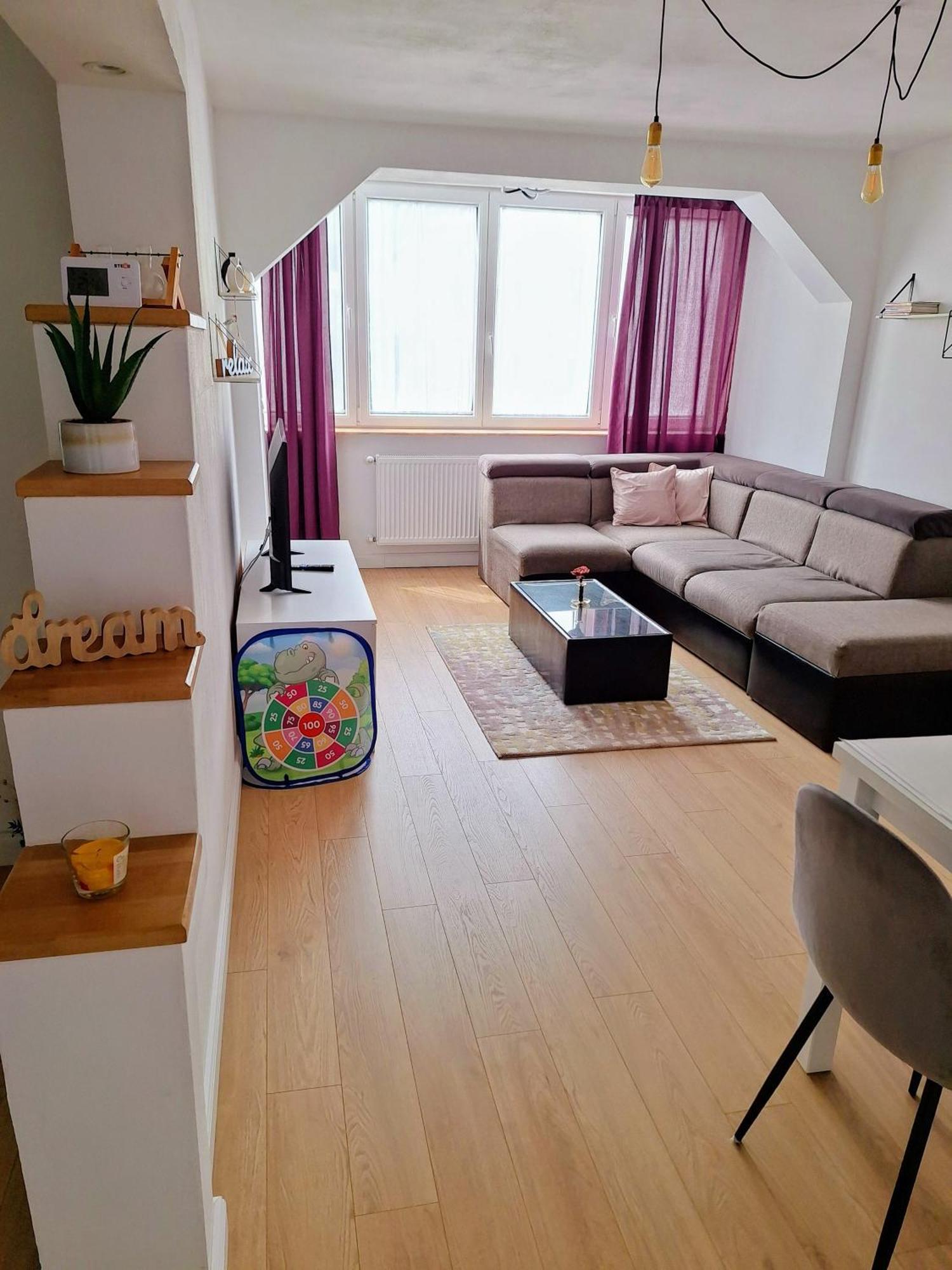 Apartament Central Vişeu de Sus エクステリア 写真
